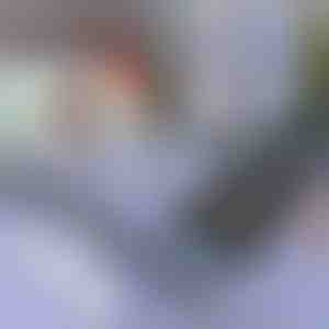 Osłona przeciwsłoneczna do samochodu i okna | SUNGUARD