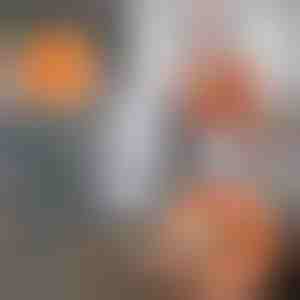 Regulowany mop czyszczący obracany o 360 stopni | CORALMOP