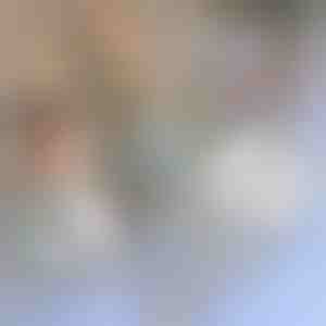 Taśma naprawcza do moskitier | INSECTAPE