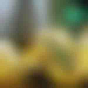 Świecąca Wstążka Świąteczna (500 cm) | SHINESTRAP 1+1 GRATIS