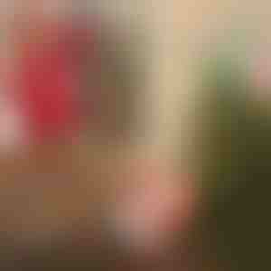 Mikołaj ze spadochronem | SANTASWING