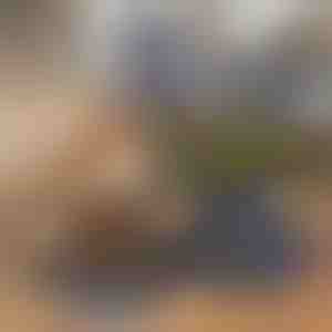 Składana Miska 2 w 1 na Karmę i Wodę | WOOFDISH