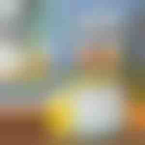 Sokowirówka do owoców | VITAPRESS