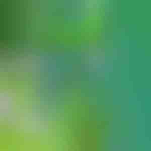 Narzędzie do usuwania chwastów | SPINOUT