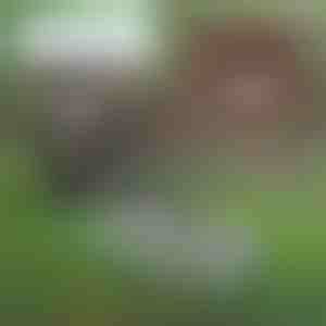 Wielofunkcyjne narzędzie ogrodowe do pielęgnacji gleby | PRONGSPRO