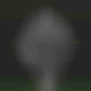 Magiczny ogrodowy wiatrak kinetyczny | WINDARA