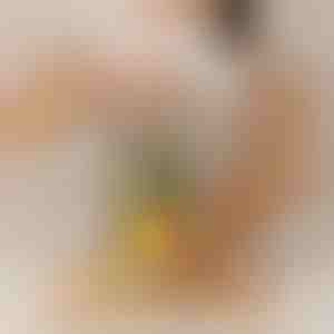 Krajalnica do ananasów działająca bez wysiłku | PINECUT