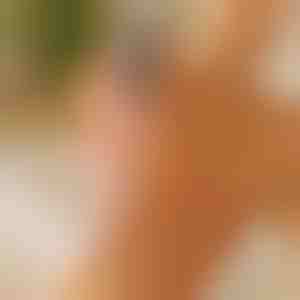 Elektryczny pilnik do stóp i usuwacz zrogowaceń - Na mokro i sucho | PEDIVIA