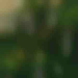 Bezogniowe migoczące świece (6 szt.) | CANDLEA