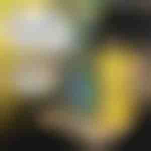 Tacka samochodowa dla dzieci | MUNCHI 1+1 GRATIS